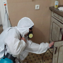 Дезинфекция от муравьев в квартире Бульвар Дмитрия Донского метро Москвы