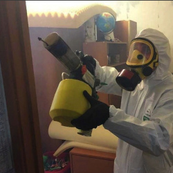Уничтожение клопов в квартире. Бульвар Дмитрия Донского
