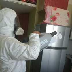 Уничтожение насекомых в квартире. Бульвар Дмитрия Донского